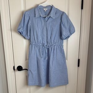 J. Crew Blue and White Striped Mini Shirt Dress